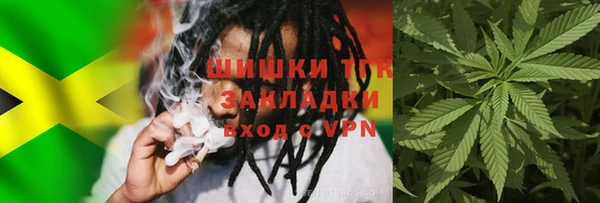 PSILOCYBIN Аркадак