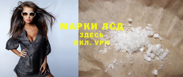 PSILOCYBIN Аркадак