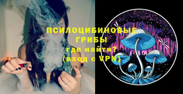 PSILOCYBIN Армянск