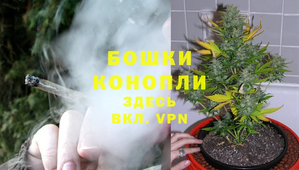 PSILOCYBIN Армянск