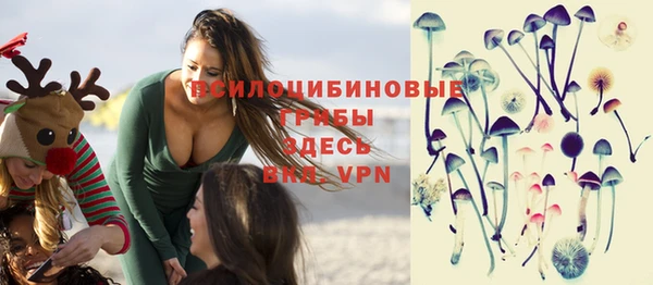 PSILOCYBIN Армянск